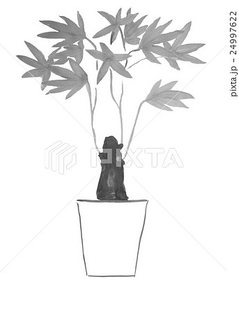 水墨画の観葉植物（パキラ） ＜インテリアのイメージ＞のイラスト素材 