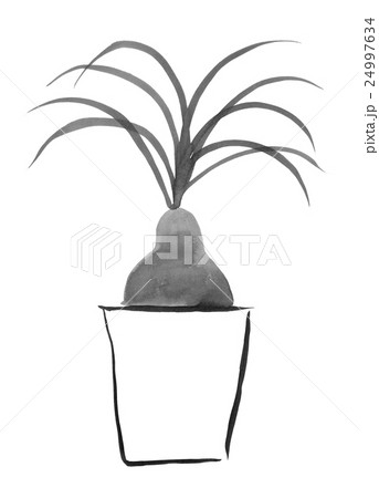水墨画の観葉植物（トックリラン） ＜インテリアのイメージ＞の 