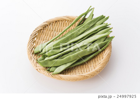 モロッコいんげん 24997925