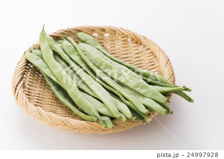 モロッコいんげん 24997928