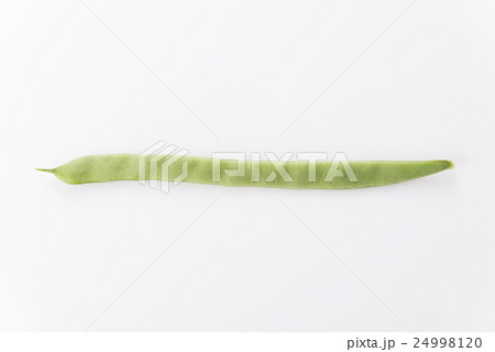 モロッコいんげん 24998120