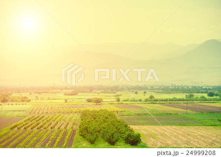 meadow, hills and blue sky 24999208
