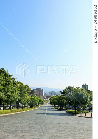 北海道　函館市　二十間坂通り 24999362