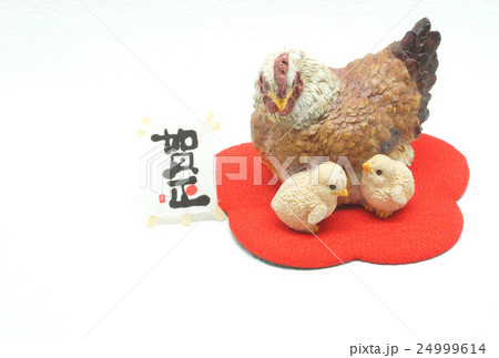 年賀状 年賀状 24999614