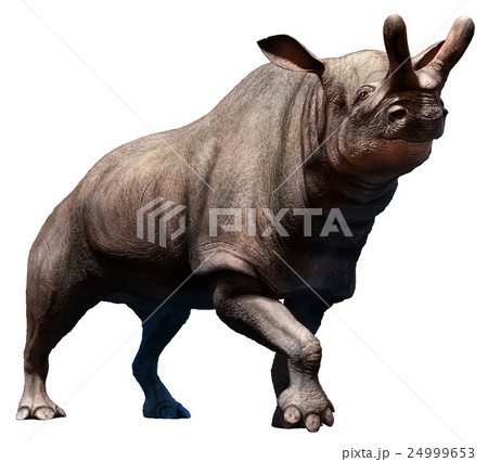 Brontotherium  24999653