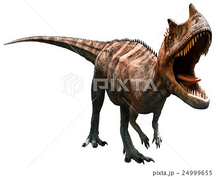 Ceratosaurus Ceratosaurus 24999655