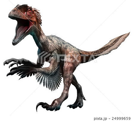 Deinonychus 24999659