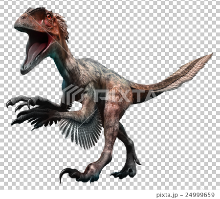 Deinonychus 24999659