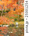 紅葉 25001254
