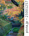 紅葉 25001257