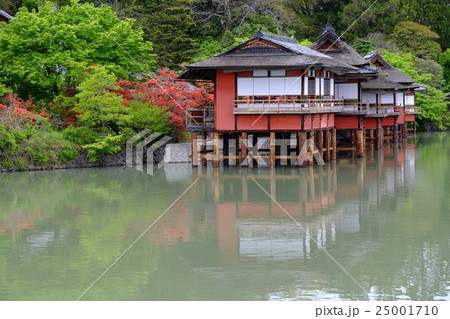 長岡天満宮八条ヶ池風景 25001710