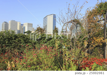 屋上庭園 東京・天王洲 屋上庭園 東京・天王洲 25002061