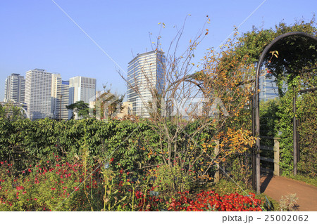 屋上庭園　東京・天王洲  25002062