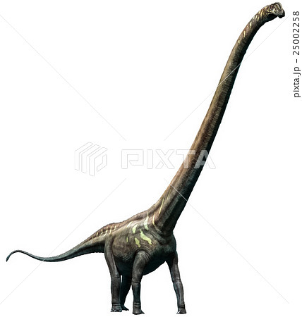 Mamenchisaurus 25002258