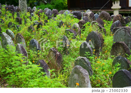 奈良・なら町・元興寺・浮図田1 奈良・なら町・元興寺・浮図田1 25002330