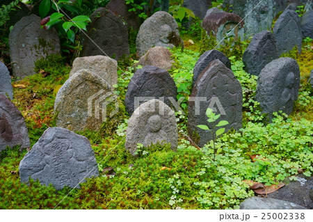 奈良・なら町・元興寺・浮図田８ 25002338