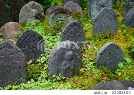 奈良・なら町・元興寺・浮図田９ 25002339