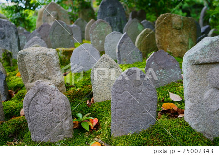 奈良・なら町・元興寺・浮図田13 奈良・なら町・元興寺・浮図田13 25002343
