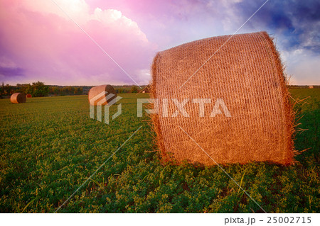 Straw bales in the sunset Straw bales in the sunset 25002715