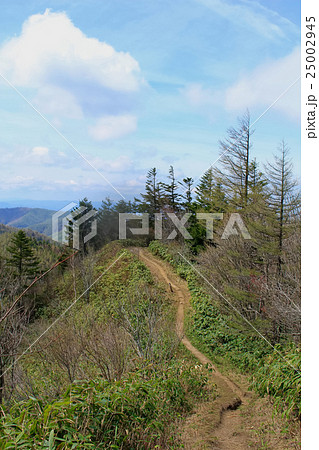 長野県大川入山登山道 25002945