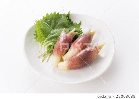 大葉とみょうが 25003039