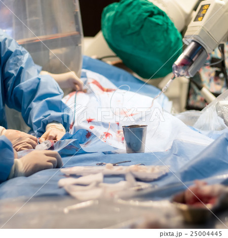 Doctor prepare equipment  25004445