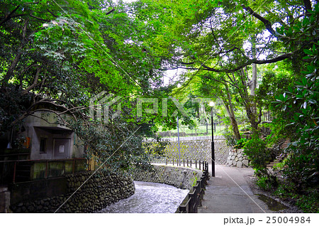 等々力渓谷付近の写真 25004984