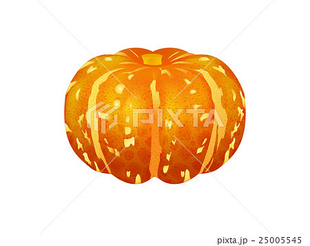 オレンジ色のかぼちゃのイラスト素材