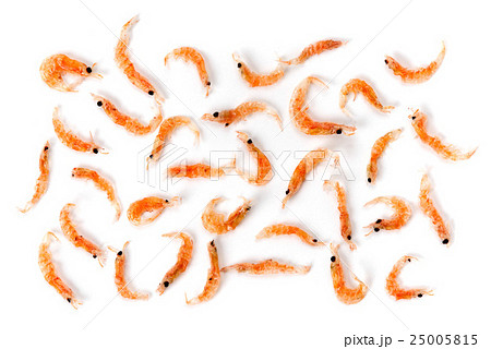 干あみ 干あみ 25005815