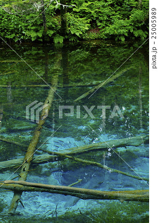 神の子池　北海道網走 25005989