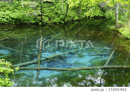 神の子池　北海道網走 25005992