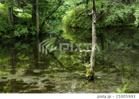 神の子池　北海道網走 25005993