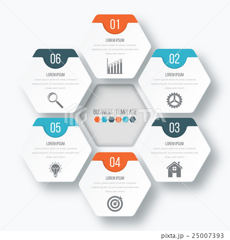 Vector illustration infographics six options. 25007393