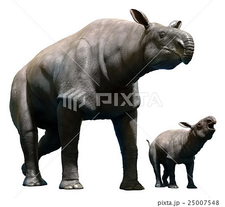 Paraceratherium with calf Paraceratherium with calf 25007548