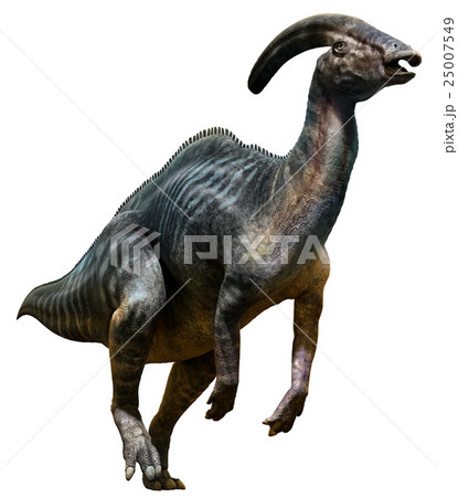 Parasaurolophus 25007549