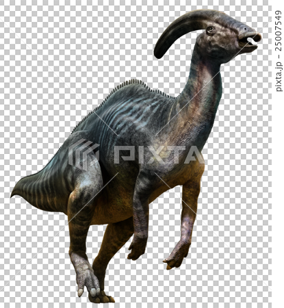 Parasaurolophus Parasaurolophus 25007549