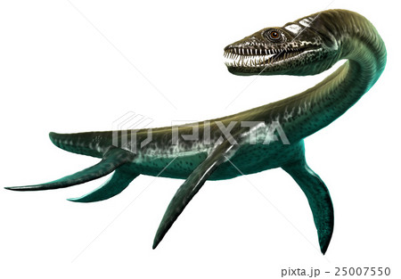 Plesiosaurus 25007550