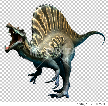 Spinosaurus Spinosaurus 25007591