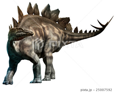 Stegosaurus 25007592