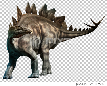 Stegosaurus 25007592
