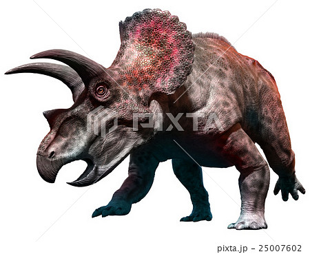 Triceratops 25007602