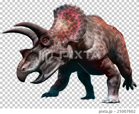 Triceratops 25007602