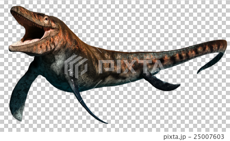 Tylosaurus Tylosaurus 25007603
