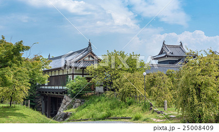 大和郡山城の夏景色 大和郡山城の夏景色 25008409
