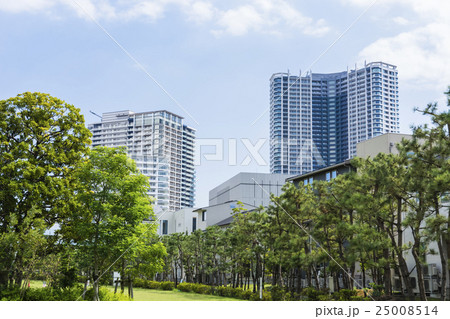 東京ベイアリア　新豊洲の湾岸都市風景 25008514