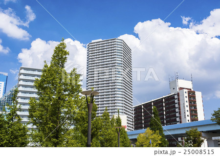 東京ベイアリア 新豊洲の湾岸都市風景 東京ベイアリア 新豊洲の湾岸都市風景 25008515