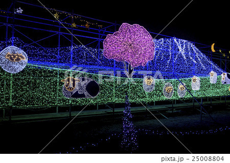 小岩井農場のイルミネーション 25008804