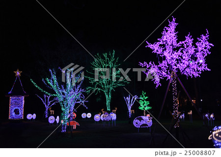 小岩井農場のイルミネーション 小岩井農場のイルミネーション 25008807