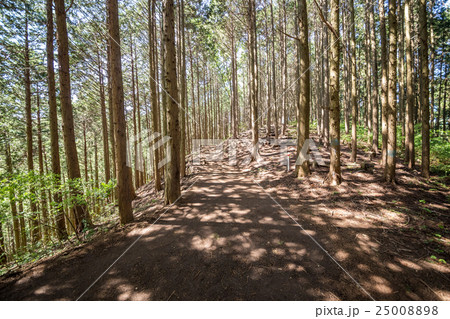 明王峠から陣馬山へ・登山コース 明王峠から陣馬山へ・登山コース 25008898