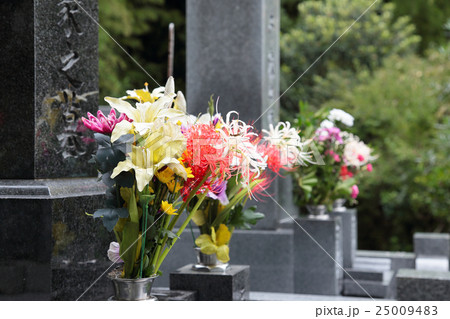 花 風景 お参り お墓 お彼岸 秋の花 花 風景 お参り お墓 お彼岸 秋の花 25009483